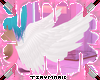 Cute White Angel Wings