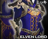 ! Elven Lord Coat II