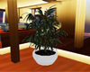 (IKY2) POTTED TREE 3