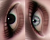 M. Heterochromy B/S*