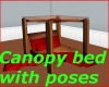 Canopy bed with poses