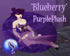 blueberry PurplePlush