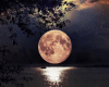 Fundo Lua