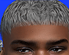 `  Low Fade Gray
