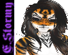 (M)Bengal Tiger Fur Skin