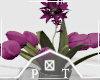 Purple Spring Tulips