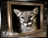 ~TR~ Cougar Picture 3