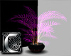 C - Plant v1 purple