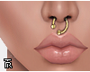 ❥ Shifted Septum. G