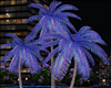 ! Neon Palm Trees