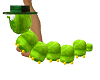 bruco verde