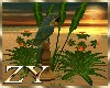 ZY: Beach Parrot Plant