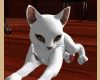 Kitten white,animado