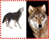 [ML] Wolf Enhancer