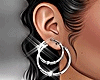 Anina Earrings Silver