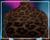 Cashy Sheer v2 XL