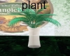 jungle book plant