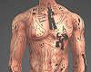 Body Tattoo HM drv