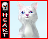 (H) Head Kitty Any Size4