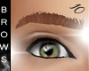 [I] Chestnut Eyebrows
