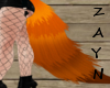 .:Z:. Pumpkin Spice Tail