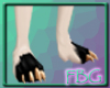 *FBG* Golden Claws Feet