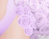 Hips Roses Lilac
