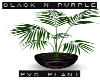 Purple N Black PVC Plant