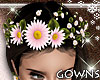 Daisy Crown Pink