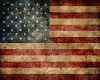 [BT] Vin American Flag