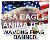 AMERICAN EAGLE FLAG ANIM