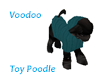 Delta Toy Poodle  Puppy