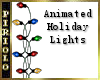 ANI Holiday Lights