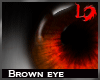 [LD]Brown eye