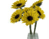 Sunflowers Vase