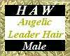 Angelic Leader Hair - M
