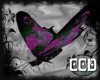 {CCD}Animated Butterfly!