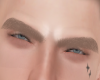 F. Brows Loiro