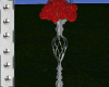 $ Wedding Roses Red vase