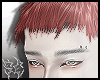 5C DRUZ RED