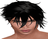 Sanemi Black