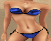 JT* Bikini Striped blue2
