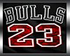 Chitown Jordan Tee