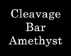 [CFD]Cleavage Bar AmtF