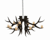 Deer Antler Chandelier
