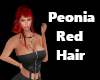 Peonia Red Hair