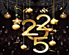 GOLD NEW YEARS 2025 MOB