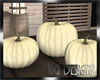 [BGD]Pumpkins-White