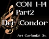 Der Condor p2