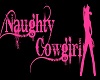 Naughty Cowgirl Room Pic